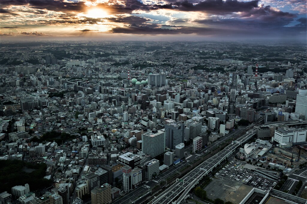 Bird view