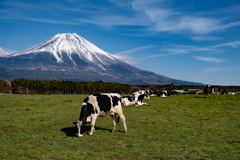 朝霧高原