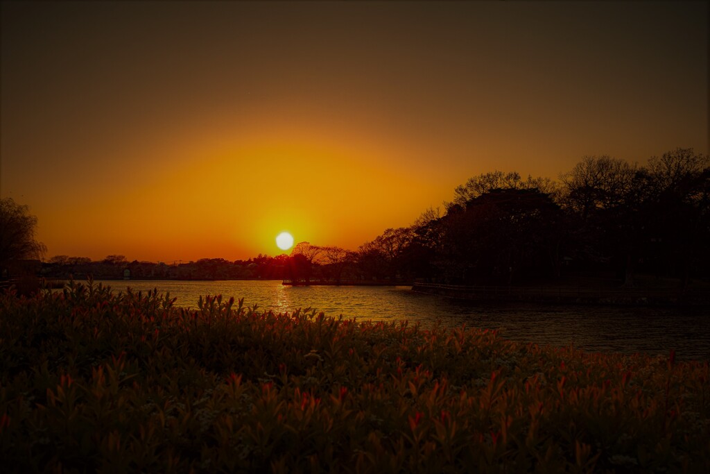 Sunset Lake