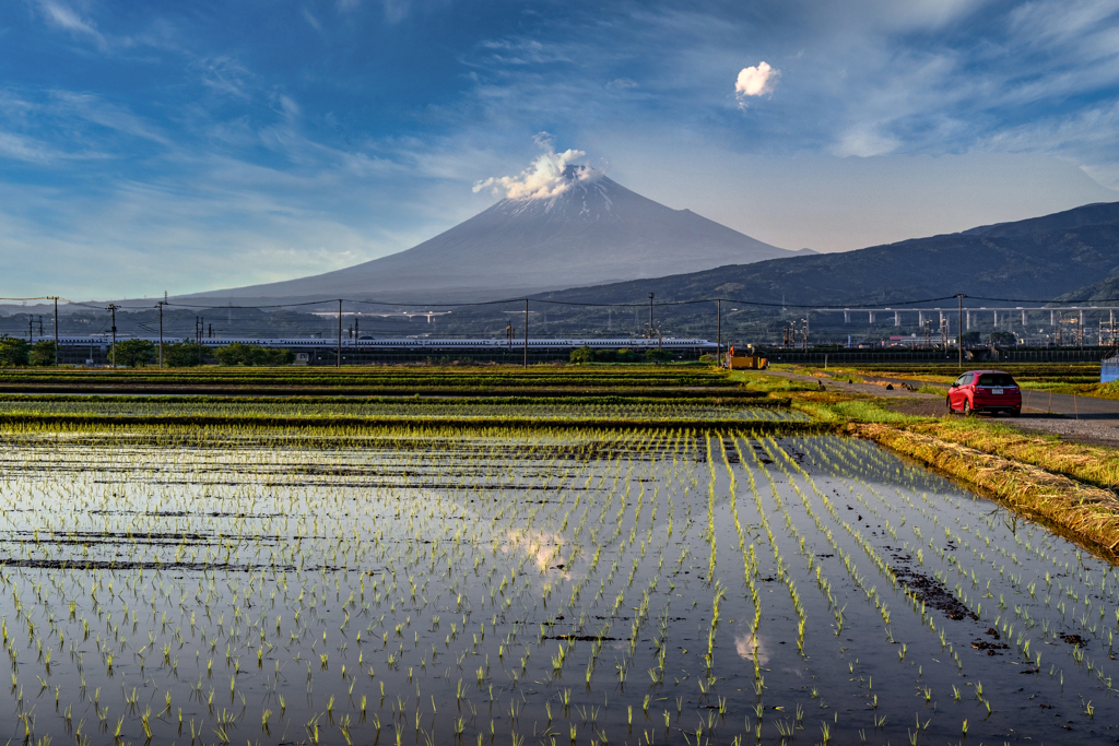 初夏の情景