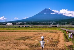 お役御免の案山子