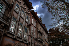 薔薇のためになくした時間