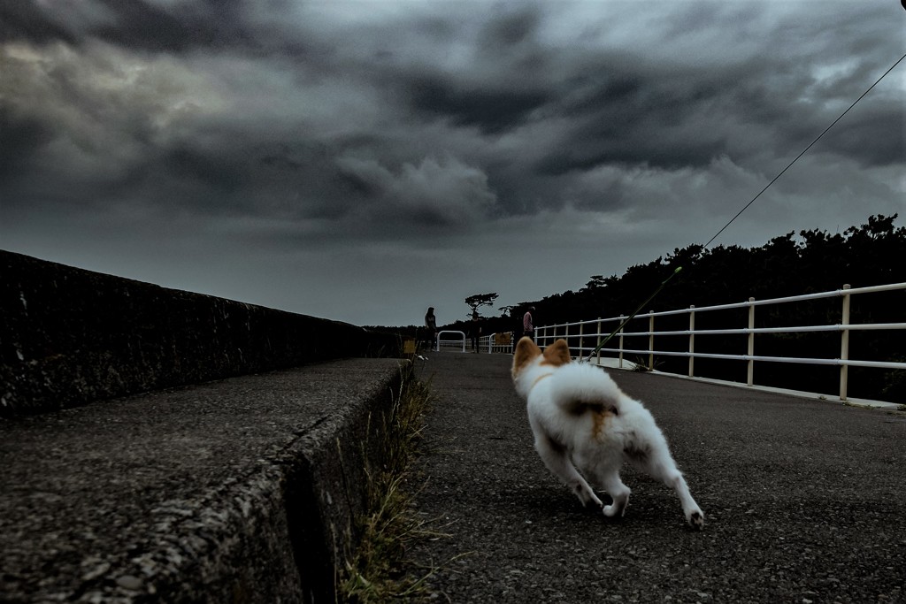雨が来るぞ！
