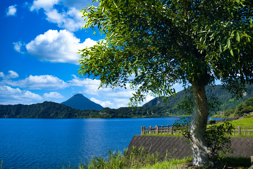 南国風景