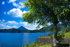 南国風景