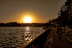 愛犬散歩【夕焼け湖畔編】