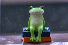 雨が大好き