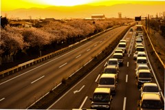 夕焼けの通勤路