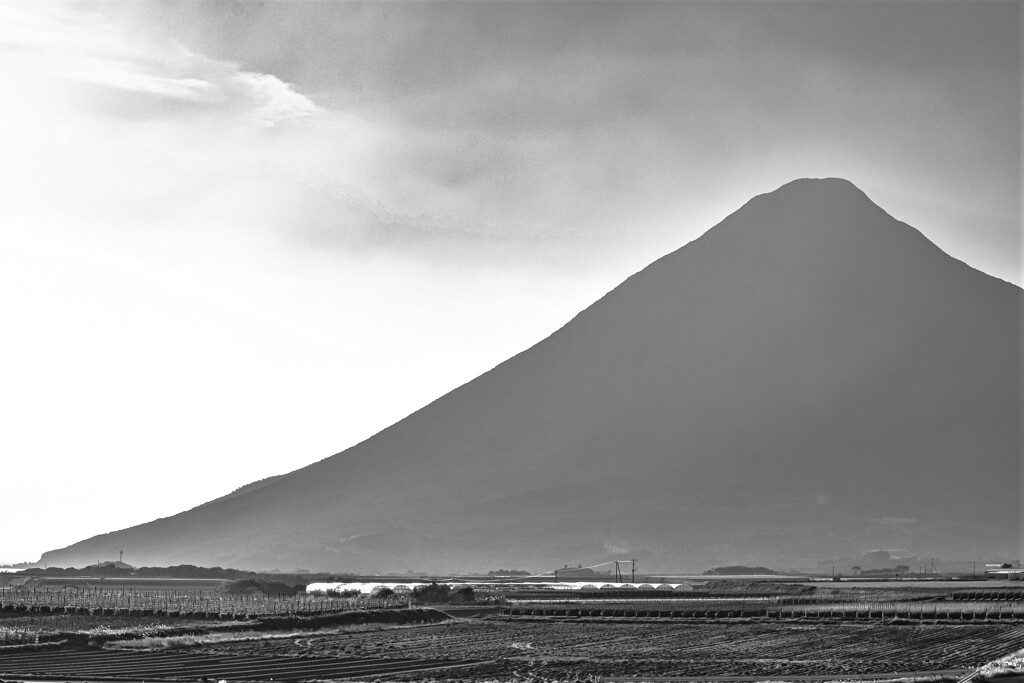 牧歌風景