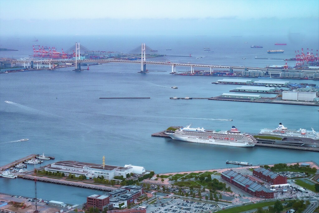 Yokohama Bay