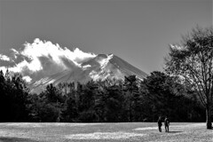walk in the park