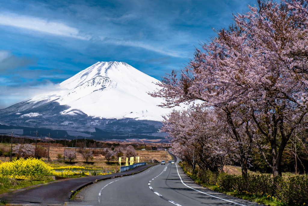 Spring road