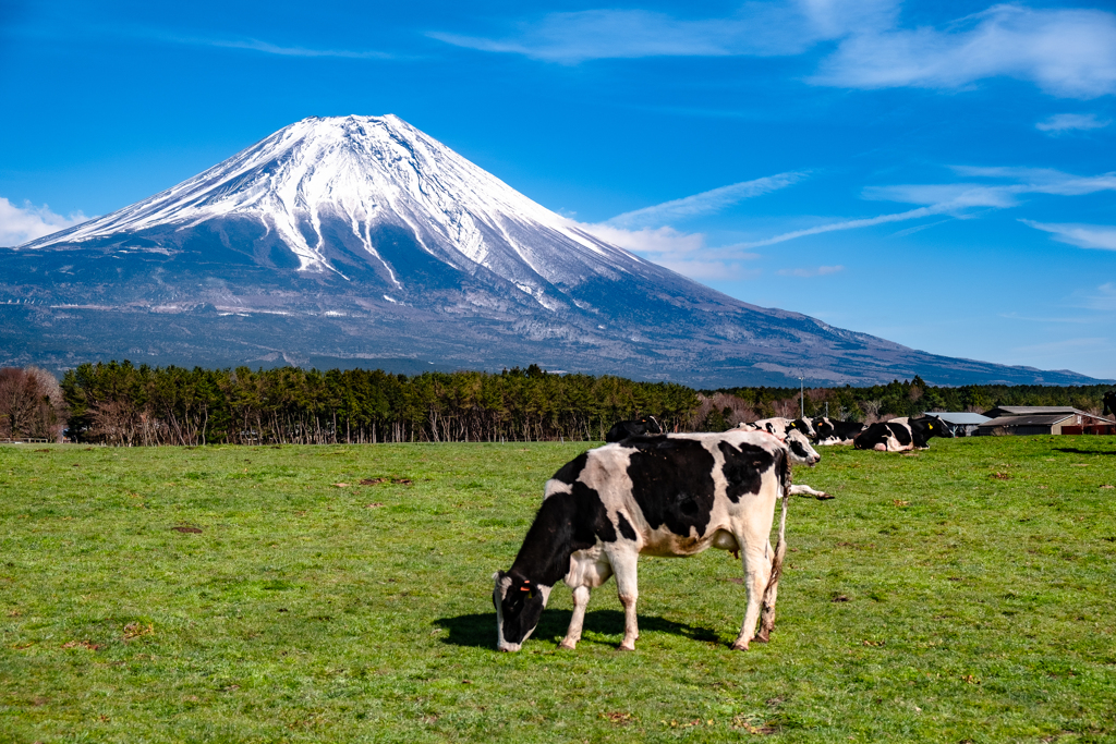 rangeland