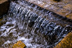 足水の涼 足水の涼