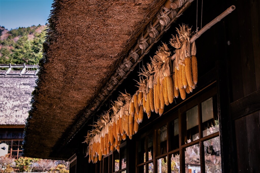茅葺きの軒下