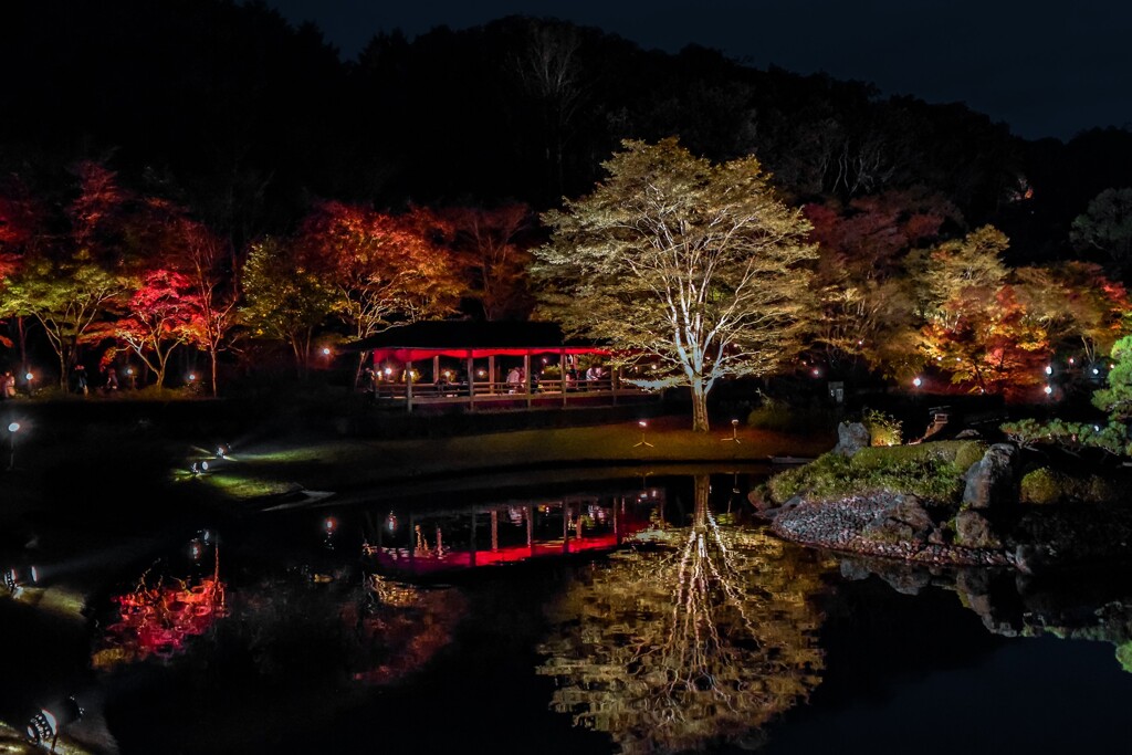 A Night at the Opera