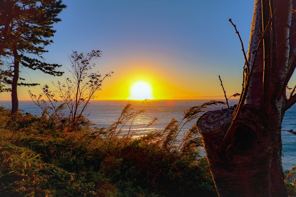 Goodbye Yellow Brick Road