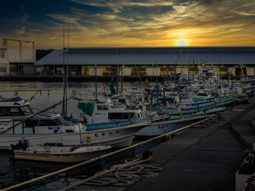 harbor-anchorage