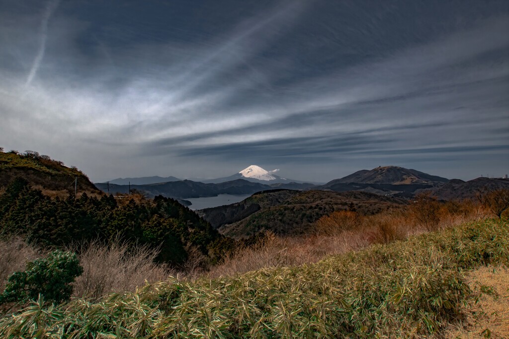 大観山の眺望