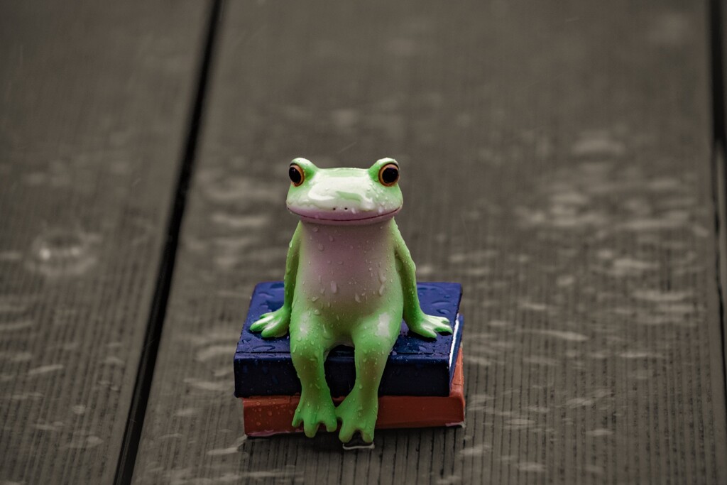 タップダンスを雨に譲って