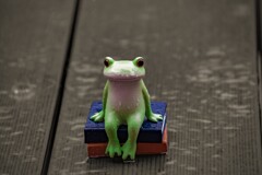 タップダンスを雨に譲って