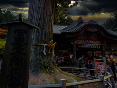 御神木 冨士太郎杉