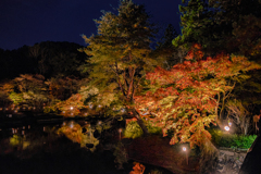 autumn night