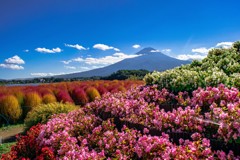 Autumn colors FUJI
