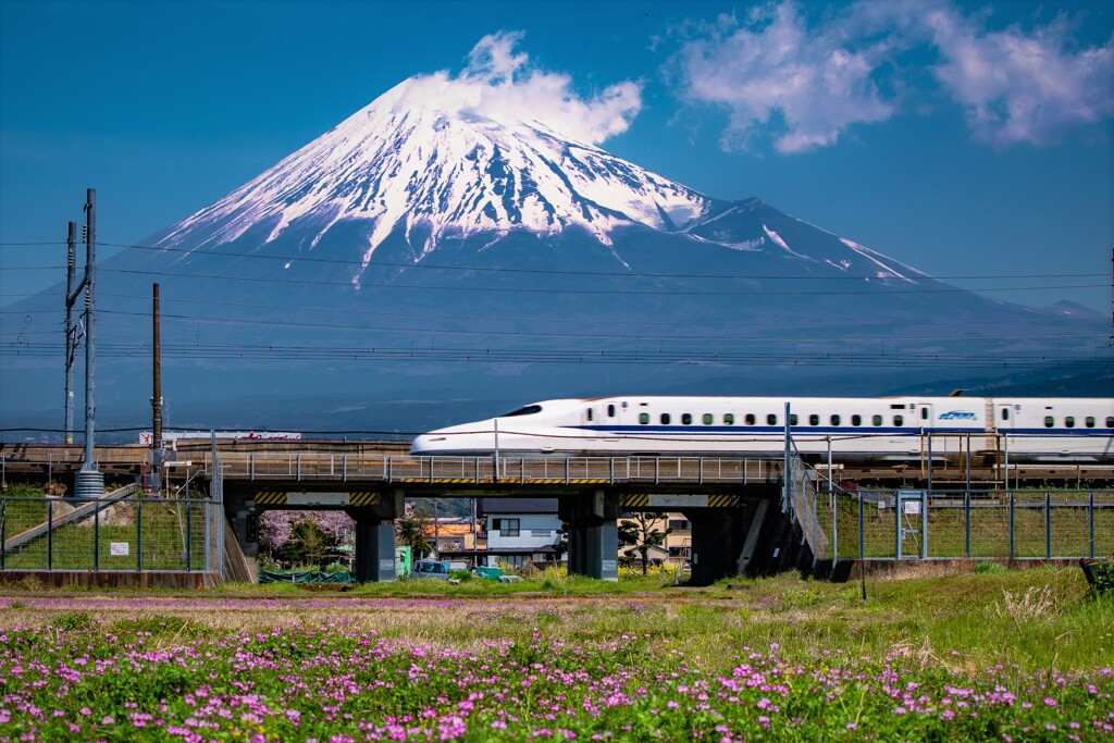 Don't Stop Japan！