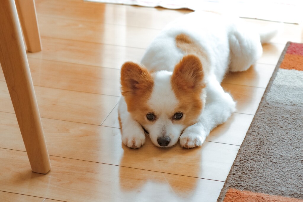 ennui