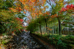 IZU Shuzenji