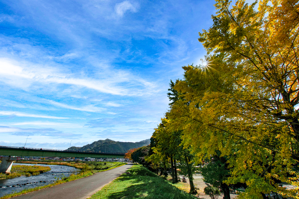 伊豆 狩野川記念公園