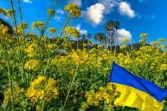 Ukraine color