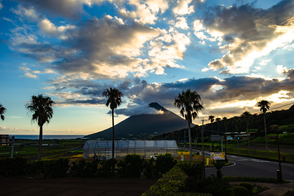 tropical sun