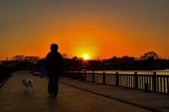 愛犬散歩【ボードウォーク編】