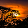 夕陽のシルエット