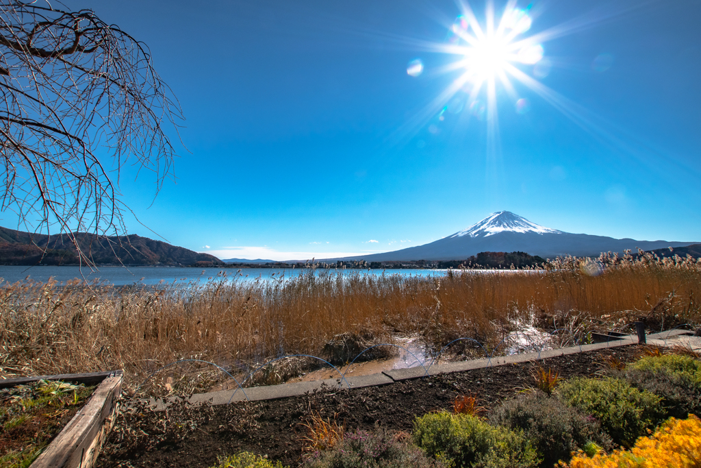 Lake Kawaguchi