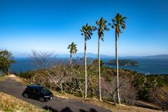 Tropical Winding Road