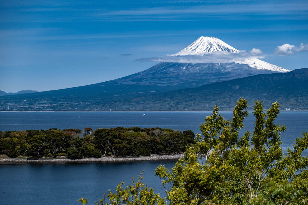 沼津 大瀬崎より