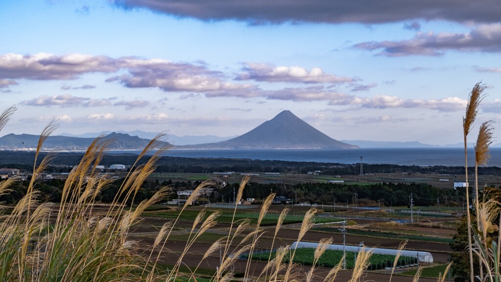 南薩の情景