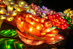 Lighting Flower