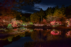  fall foliage