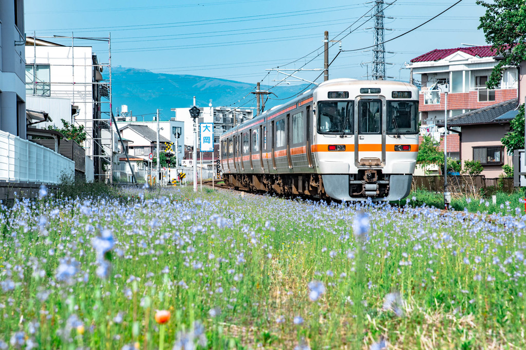 御殿場線大岡駅へ