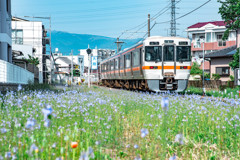 御殿場線大岡駅へ