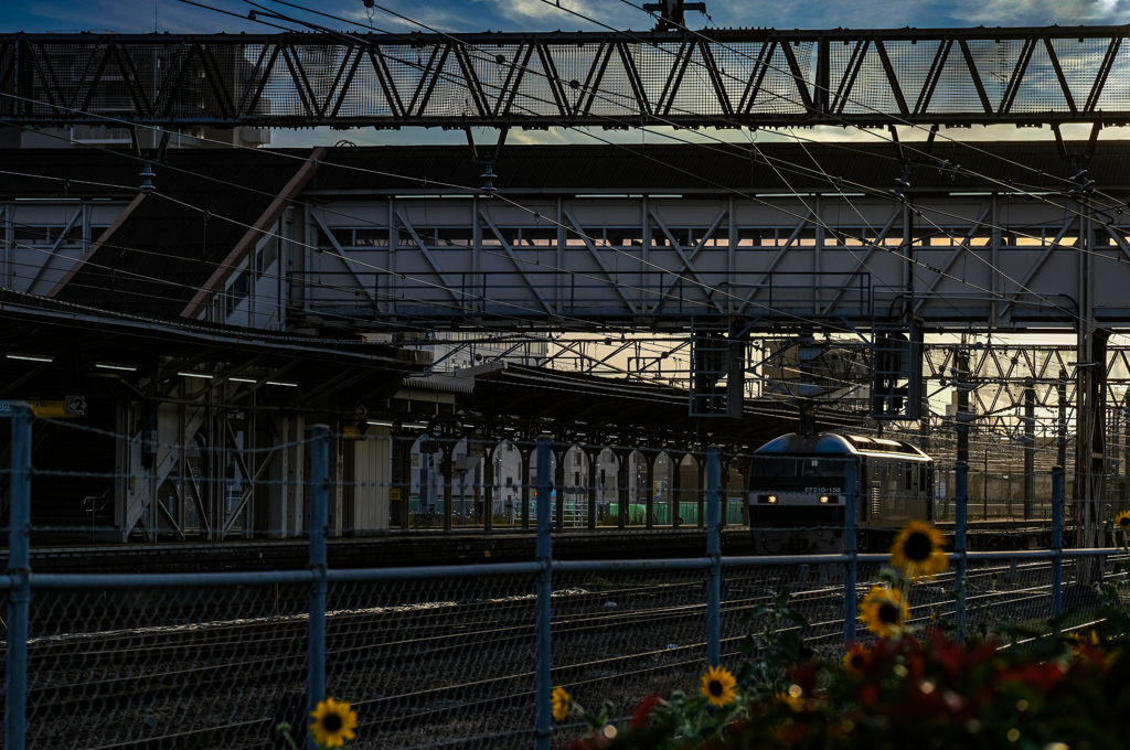 freight depot