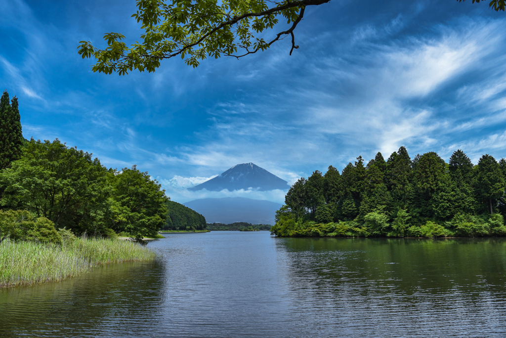 夏富士の田貫湖