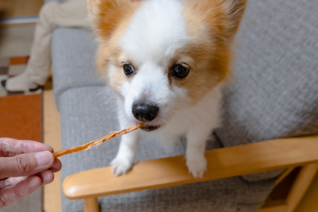 おやつをあげよう！