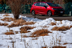 Snow melting morning