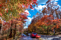 Lake yamanaka Drive