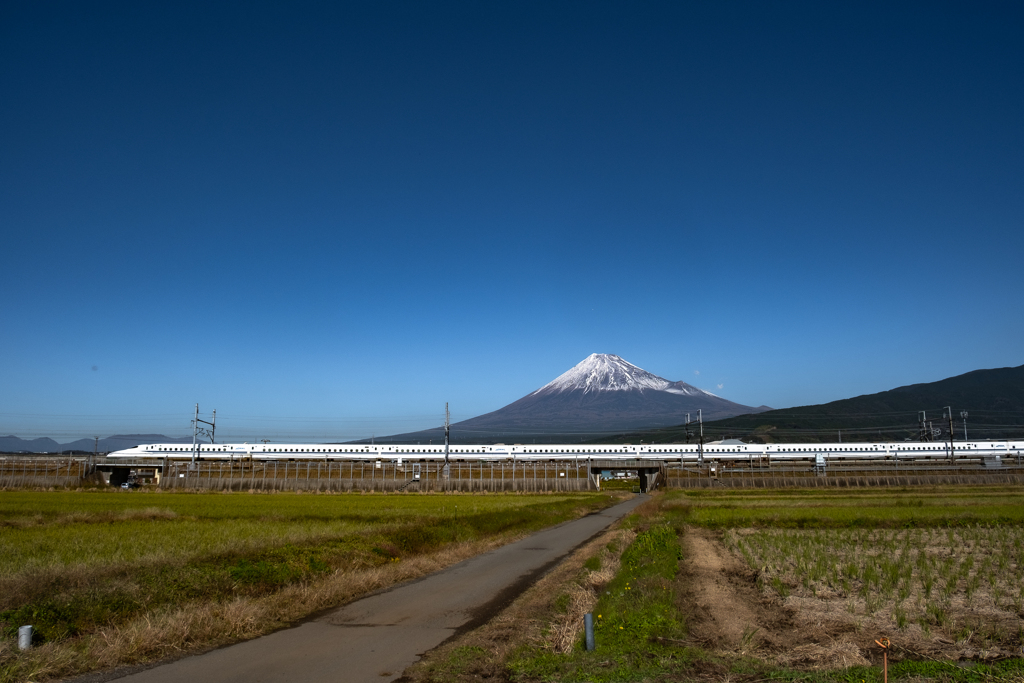 Long Train Runnin'